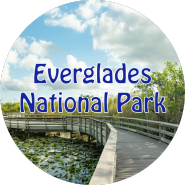 2024 캐리비안 크루즈 여행-에버글레이즈 국립공원 (Everglades National Park)