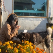 생일에 꺼내보는 제주 보름 살기 브이로그! 추억과 힐링 그 잡채(구좌 드로잉 카페/ 맛집 추천)