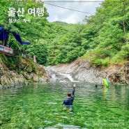 울산 여행 계곡 추천 울주 철구소 계곡