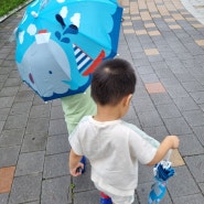 3살아이 장마철 등원시 우산 가능하네요~