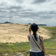 태안 여행 1박 2일 가볼만한곳 (게국지 맛집, 신두리해안사구, 파도리해식동굴)