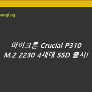 마이크론 Crucial P310 M.2 2230 4세대 SSD 출시!