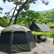 양산 라라캠핑장 B사이트 애견 동반 계곡 물놀이 가능