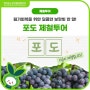 원기회복을 위한 달콤한 보랏빛 과실 🍇포도💜 제철투어