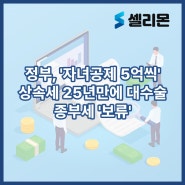 정부, '자녀공제 5억씩' 상속세 25년만에 대수술…종부세 '보류'