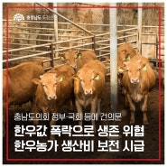 충남도의회, 한우농가 생산비 보전 대책 마련 촉구