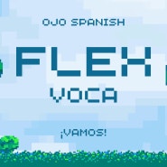플렉스 flex 스페인어 빈출 어휘 중요 표현