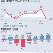 우리나라 2분기 GDP -0.2%,내수 부진에 한국 경제 역성장. 그래도 2024년 GDP 성장률 2.5% 달성은가능하다....