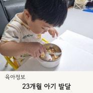 23개월 아기발달 총정리 신체 언어 사회성 변화