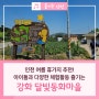 아이들과 함께 즐기기 좋은 여름휴가지 추천! 인천 강화 달빛동화마을