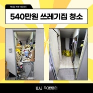 쓰레기집 청소 가격이 540만 원인 곳 후기