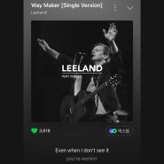 [CCM] Waymaker - Leeland