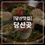 '당산곶' 당산역 이자카야 숙성회 웨이팅 맛집