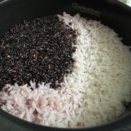 쿠첸 더핏슬림 밥솥으로 건강하게 잡곡밥도 해먹어요