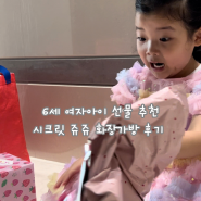 6살여아선물 추천, 리틀블링 시크릿 쥬쥬 화장가방세트