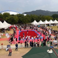 제14회 곡성세계장미축제 행운의 황금장미를 찾아라 & 장미플라워샤워포토존 & 고백존