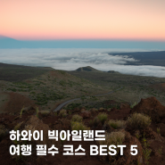 하와이 빅아일랜드 여행 코스 BEST5 마우나케아, 화산국립공원, 라바 구경 등