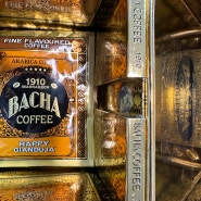 싱가폴에서 구매한 바샤 커피 BACHA COFFEE..