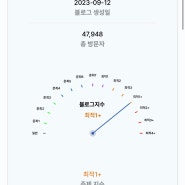 7월 4주 차 일상(블로그 최적 1+ 미친 성장속도, 장애인 불법주차 신고 2, 맹인안마)