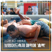 보령머드축제 8월 4일까지 다채로운 체험·공연 선사