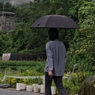 장인정신과 현대미학이 만든 하이엔드 우산 도플러 제로 초경량 장우산 골프 수동우산 롤스로이스 우산
