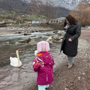 Fasnacht 방학여행 (4) 뮌헨을 떠나 스위스 Flumserberg / 해발 1400미터에서 1박 후 집으로 집으로