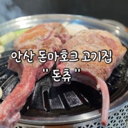 안산 고잔신도시 돈마호크 고기가 맛있는집 "돈츄"