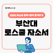 2025 부산대 로스쿨 자소서 항목과 작성 시 유의사항, 첨삭 합격후기!