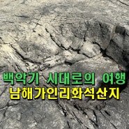 경남 공룡 발자국 탐험! '남해가인리화석산지'