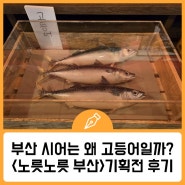 자녀와 가 볼 만한 전시, 부산해양자연사박물관 '노릇노릇 부산'