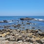 「미가 치유 사역 야외 예배」 White Point Beach - '우리의 간절한 기도에 역사하시는 하나님'