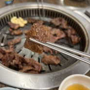 제주 양념 소갈비 원우정 - 제주 노형동 맛집,제주공항 근처 맛집, 제주시 소고기(된찌맛집,양념소갈비맛집)