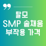 SMP 숱채움 가격 부작용 장점 유지기간?