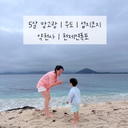 5살 아이랑 | 우도 | 섭지코지 | 약천사 강추 | 천제연 폭포