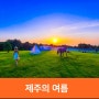 제주 놀거리 제주 글램핑 분위기의 야외식당, 서귀포 흑돼지