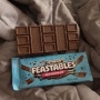세계 최고 구독자 3억 명을 둔 미스터비스트(MrBeast) 초콜릿 피스터블(FEASTABLES)