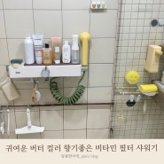 내돈내산 욕실 인테리어 비타민 필터 샤워기 추천 교체 리뷰