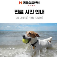 7월 28일(일) ~ 8월 10일(토) 진료시간 안내_24시동물병원 N동물의료센터 [노원점]