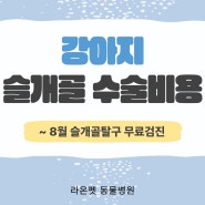 [반려동물 수술전문] 강아지 슬개골 탈구 단계별 수술비용