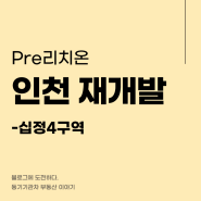 십정4구역, 인천 부평 재개발, 입주권