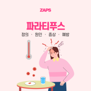 파라티푸스 정의 원인 증상 예방