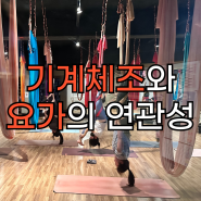 화서동 요가 / 금곡동 요가 2024 파리올림픽 기계체조 관전포인트와 요가의 균형잡기 역할