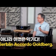 [청음리뷰] 스피커를 만들랬더니 악기를 만들면 어떡합니까? Franco Serblin Accordo Goldberg.