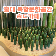 홍대카페 홍대 복합문화공간 데이트 코스 추천