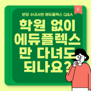 학원 없이 수내 서현 에듀플렉스만 다녀도 되나요?