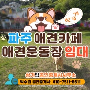 파주 애견카페, 애견운동장 가든 상가 임대 매물 - 대지 약 800평, 잔디밭 넓은 단독 통건물