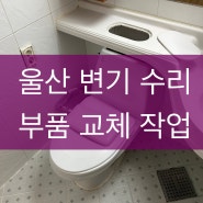 울산 남구 달동 변기 고장 수리합니다 - 부품 교체 작업