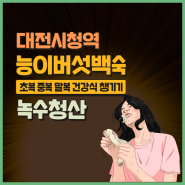 대전 시청 초복 중복 말복 버섯전골 한식 맛집 녹수청산에서 건강 챙기기