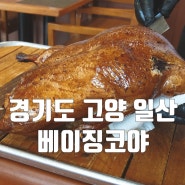 드디어 다녀온 경기도 고양 일산 북경오리 맛집 베이징코야