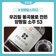 우리밀 통곡물로 만든 양평밀 소주 53